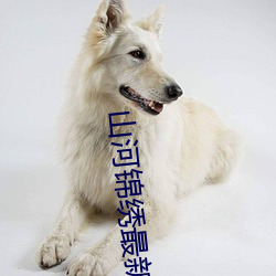 山河锦绣最(zuì)新免(miǎn)费(fèi)观看(kàn)全集