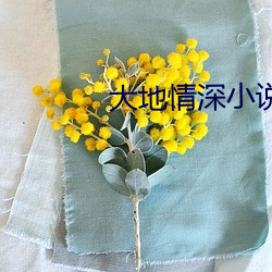 大地情深(深)小说(說)免费(費)阅读(讀)