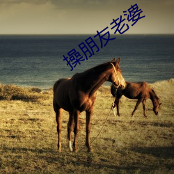 操朋(péng)友老婆