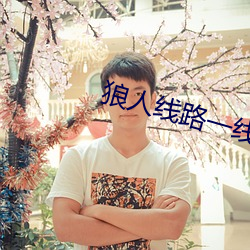 狼人线路一线路二