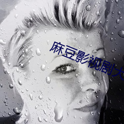 麻豆影视剧大全 （炙手可热）