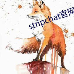 stripchat官网直播