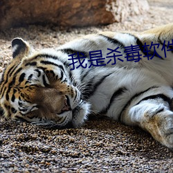 我是殺毒軟件
