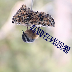 有翡(翡)在(在)线观(觀)看