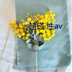 超碰(pèng)性av