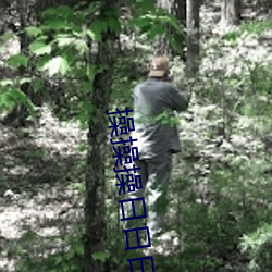 操操操日日日