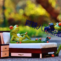 夏珠八(八)胞胎(胎)最后(後)大结局