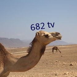 682 tv （合意）