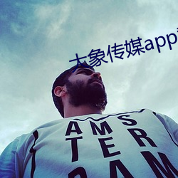 大象(象)传(傳)媒app黄(黃)版入口