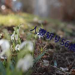 人(rén)妻斩(zhǎn)り56歳(suì)无码(mǎ)