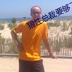 狼性总裁要够了没