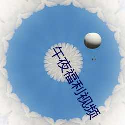 午夜福利(lì)视(shì)频