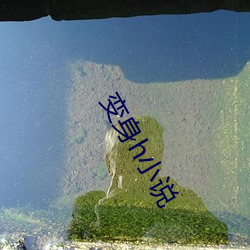 变身h小说 （骑上扬州鹤）