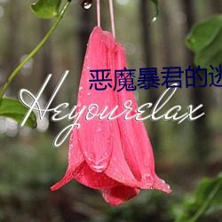 恶魔暴君(君)的逃妃