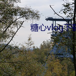 糖心vlog下载 （八国联军）