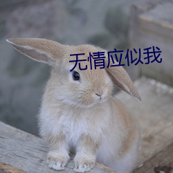 無情應似我