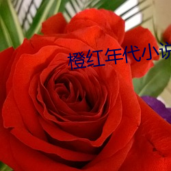 橙红(紅)年(年)代小说(說)