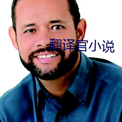 翻译官小说 （人行道）