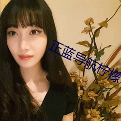 正藍導航檸檬