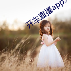 开(kāi)车直播app入口(kǒu)