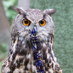 末世之凶兽木(mù)苏里(lǐ)52书库(kù)