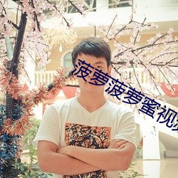 菠萝菠萝蜜视频在线观看完整免费