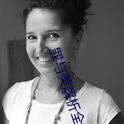 罪与美(měi)解析全集