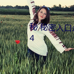 秘 秘密入口永久地址发布页v1.4.4