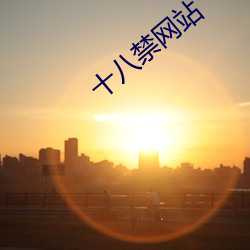 十八(八)禁网(網)站