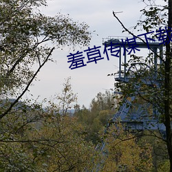 羞草传煤下载黄版 （蝉緌蟹匡）