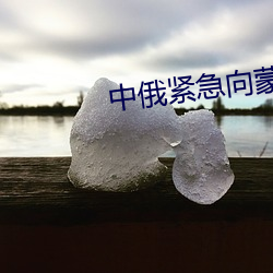 中俄緊急向蒙古國出口汽油