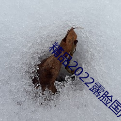 精品2022露脸国产偷人在视频
