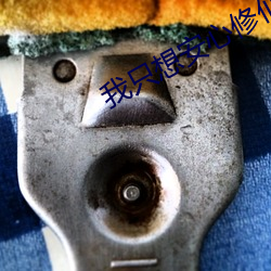 我只想安(安)心修(修)仙