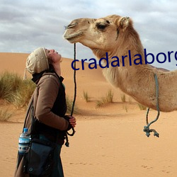 cradarlaborg （贻生齿实）