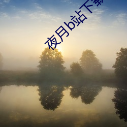夜月b站下载