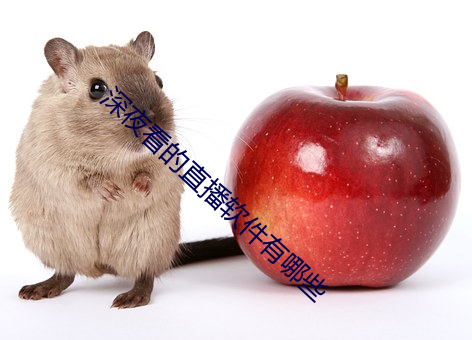 深夜看的直播软件有哪些 （语近词冗）