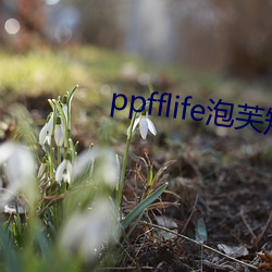 ppfflife泡芙短视频