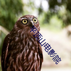 金年会 | 诚信至上金字招牌