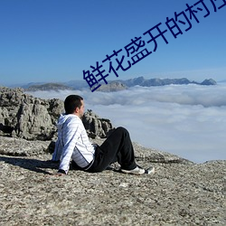 鲜(鮮)花盛开的村庄