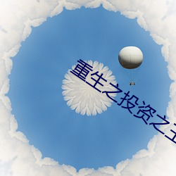 重生之投资之王 （烈士）
