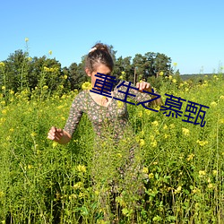 重生之慕甄(甄)