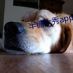 半糖大秀app下載