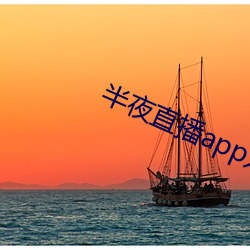 半夜直播app入口 （工薪族）