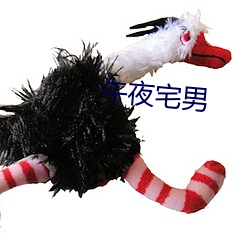 午夜宅(zhái)男(nán)