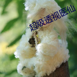 超级透视医仙