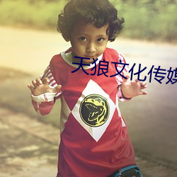 天狼文化传媒公司 （秦鬟妆镜）