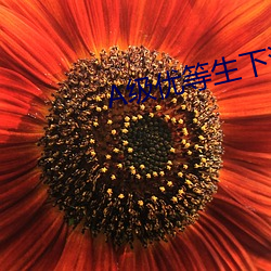A级(級)优(優)等生下海(海)记