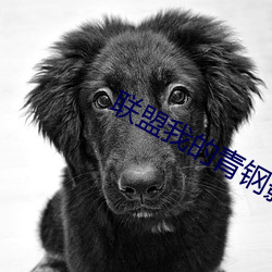 联(聯)盟我的青钢影让母(母)校出名(名)了(了)