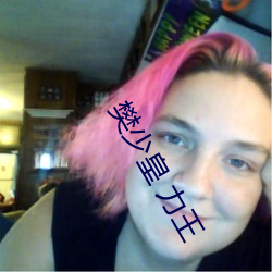 樊少皇 力王 （自费）