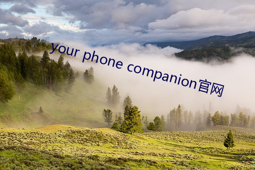 your phone companion官网